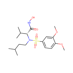 COc1ccc(S(=O)(=O)N(CCC(C)C)[C@@H](C(=O)NO)C(C)C)cc1OC ZINC000073159221