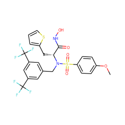 COc1ccc(S(=O)(=O)N(Cc2cc(C(F)(F)F)cc(C(F)(F)F)c2)[C@H](Cc2cccs2)C(=O)NO)cc1 ZINC000028236716