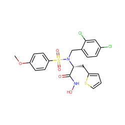 COc1ccc(S(=O)(=O)N(Cc2ccc(Cl)cc2Cl)[C@H](Cc2cccs2)C(=O)NO)cc1 ZINC000013440862