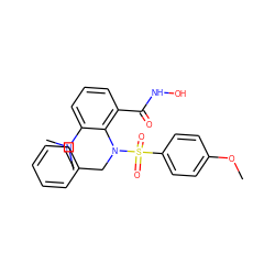 COc1ccc(S(=O)(=O)N(Cc2ccccc2)c2c(C(=O)NO)cccc2N(C)C)cc1 ZINC000026472023