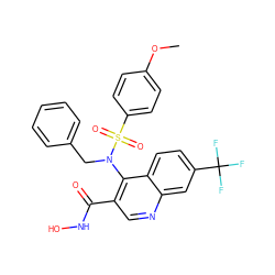 COc1ccc(S(=O)(=O)N(Cc2ccccc2)c2c(C(=O)NO)cnc3cc(C(F)(F)F)ccc23)cc1 ZINC000029310043