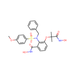 COc1ccc(S(=O)(=O)N(Cc2ccccc2)c2c(OC(C)(C)C(=O)NO)cccc2C(=O)NO)cc1 ZINC000026472700