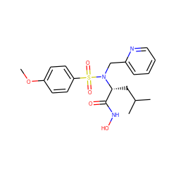 COc1ccc(S(=O)(=O)N(Cc2ccccn2)[C@H](CC(C)C)C(=O)NO)cc1 ZINC000028000051