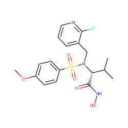 COc1ccc(S(=O)(=O)N(Cc2cccnc2F)[C@@H](C(=O)NO)C(C)C)cc1 ZINC000028865133