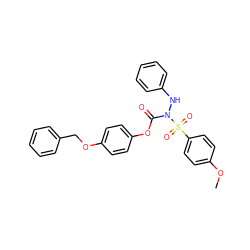 COc1ccc(S(=O)(=O)N(Nc2ccccc2)C(=O)Oc2ccc(OCc3ccccc3)cc2)cc1 ZINC000653785857