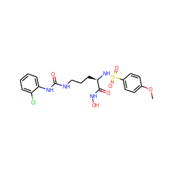 COc1ccc(S(=O)(=O)N[C@H](CCCNC(=O)Nc2ccccc2Cl)C(=O)NO)cc1 ZINC000026188639