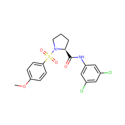 COc1ccc(S(=O)(=O)N2CCC[C@H]2C(=O)Nc2cc(Cl)cc(Cl)c2)cc1 ZINC000009068102