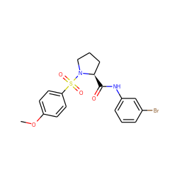 COc1ccc(S(=O)(=O)N2CCC[C@H]2C(=O)Nc2cccc(Br)c2)cc1 ZINC000009068190