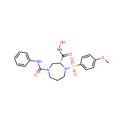 COc1ccc(S(=O)(=O)N2CCCN(C(=O)Nc3ccccc3)C[C@@H]2C(=O)NO)cc1 ZINC000026580149