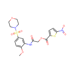 COc1ccc(S(=O)(=O)N2CCOCC2)cc1NC(=O)COC(=O)c1ccc([N+](=O)[O-])s1 ZINC000009129364