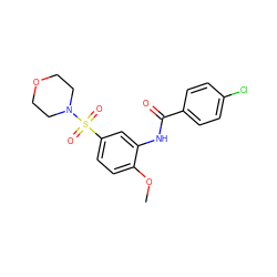 COc1ccc(S(=O)(=O)N2CCOCC2)cc1NC(=O)c1ccc(Cl)cc1 ZINC000004502532