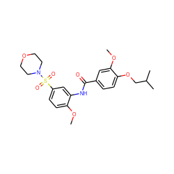 COc1ccc(S(=O)(=O)N2CCOCC2)cc1NC(=O)c1ccc(OCC(C)C)c(OC)c1 ZINC000009586706