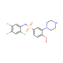 COc1ccc(S(=O)(=O)Nc2cc(Cl)c(Cl)cc2Cl)cc1N1CCNCC1 ZINC000027650042