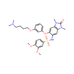 COc1ccc(S(=O)(=O)Nc2cc3c(cc2Oc2cccc(OCCCCN(C)C)c2)n(C)c(=O)n3C)cc1OC ZINC000653721408