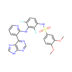 COc1ccc(S(=O)(=O)Nc2ccc(F)c(Nc3ncccc3-c3ncnc4[nH]cnc34)c2F)cc1OC ZINC000166372171