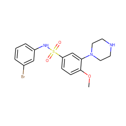 COc1ccc(S(=O)(=O)Nc2cccc(Br)c2)cc1N1CCNCC1 ZINC000027656184