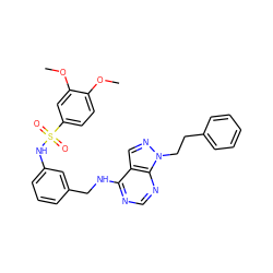 COc1ccc(S(=O)(=O)Nc2cccc(CNc3ncnc4c3cnn4CCc3ccccc3)c2)cc1OC ZINC000103253403