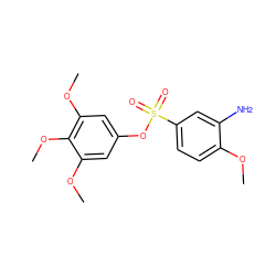 COc1ccc(S(=O)(=O)Oc2cc(OC)c(OC)c(OC)c2)cc1N ZINC000001550216