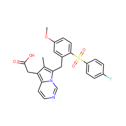 COc1ccc(S(=O)(=O)c2ccc(F)cc2)c(Cc2c(C)c(CC(=O)O)c3ccncn23)c1 ZINC000653739138