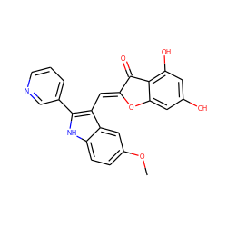 COc1ccc2[nH]c(-c3cccnc3)c(/C=C3\Oc4cc(O)cc(O)c4C3=O)c2c1 ZINC000049070458