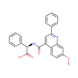 COc1ccc2c(C(=O)N[C@@H](C(=O)O)c3ccccc3)cc(-c3ccccc3)nc2c1 ZINC000013762345