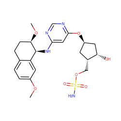 COc1ccc2c(c1)[C@H](Nc1cc(O[C@H]3C[C@H](O)[C@H](COS(N)(=O)=O)C3)ncn1)[C@H](OC)CC2 ZINC000114582891