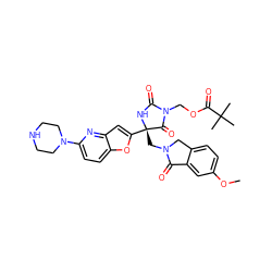 COc1ccc2c(c1)C(=O)N(C[C@@]1(c3cc4nc(N5CCNCC5)ccc4o3)NC(=O)N(COC(=O)C(C)(C)C)C1=O)C2 ZINC000148737661