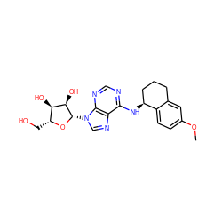 COc1ccc2c(c1)CCC[C@@H]2Nc1ncnc2c1ncn2[C@@H]1O[C@H](CO)[C@@H](O)[C@H]1O ZINC000013649493