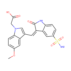 COc1ccc2c(c1)c(/C=C1\C(=O)Nc3ccc(S(N)(=O)=O)cc31)cn2CC(=O)O ZINC000013538955