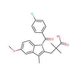 COc1ccc2c(c1)c(C)c(CC(C)(C)C(=O)O)n2C(=O)c1ccc(Cl)cc1 ZINC000095583697