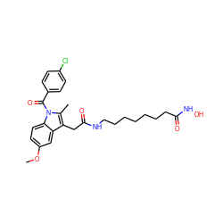 COc1ccc2c(c1)c(CC(=O)NCCCCCCCC(=O)NO)c(C)n2C(=O)c1ccc(Cl)cc1 ZINC001772629590