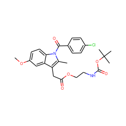 COc1ccc2c(c1)c(CC(=O)OCCNC(=O)OC(C)(C)C)c(C)n2C(=O)c1ccc(Cl)cc1 ZINC000026725952