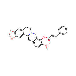 COc1ccc2c(c1OC(=O)/C=C/c1ccccc1)CN1CCc3cc4c(cc3[C@@H]1C2)OCO4 ZINC000095596987