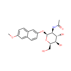 COc1ccc2cc(O[C@@H]3O[C@H](CO)[C@H](O)[C@@H](O)[C@@H]3NC(C)=O)ccc2c1 ZINC000253770476