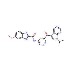 COc1ccc2nc(C(=O)Nc3cncc(C(=O)c4cn(C(C)C)c5ncncc45)c3)[nH]c2c1 ZINC000221757794