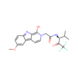 COc1ccc2nc3c(O)n(CC(=O)N[C@H](C(=O)C(F)(F)F)C(C)C)ccc-3c2c1 ZINC000100729430