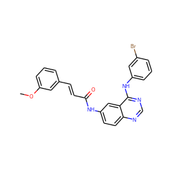 COc1cccc(/C=C/C(=O)Nc2ccc3ncnc(Nc4cccc(Br)c4)c3c2)c1 ZINC000072108005