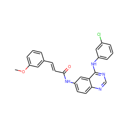 COc1cccc(/C=C/C(=O)Nc2ccc3ncnc(Nc4cccc(Cl)c4)c3c2)c1 ZINC000072108012