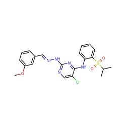 COc1cccc(/C=N/Nc2ncc(Cl)c(Nc3ccccc3S(=O)(=O)C(C)C)n2)c1 ZINC001772637564