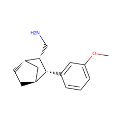 COc1cccc([C@@H]2[C@H]3CC[C@@H](C3)[C@@H]2CN)c1 ZINC000100822712