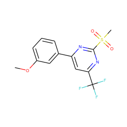 COc1cccc(-c2cc(C(F)(F)F)nc(S(C)(=O)=O)n2)c1 ZINC000000200514