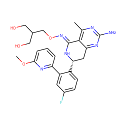 COc1cccc(-c2cc(F)ccc2[C@H]2Cc3nc(N)nc(C)c3/C(=N/OCC(CO)CO)N2)n1 ZINC000116438084