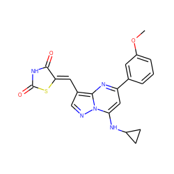 COc1cccc(-c2cc(NC3CC3)n3ncc(/C=C4\SC(=O)NC4=O)c3n2)c1 ZINC000144749373