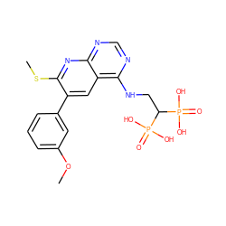 COc1cccc(-c2cc3c(NCC(P(=O)(O)O)P(=O)(O)O)ncnc3nc2SC)c1 ZINC000299834050