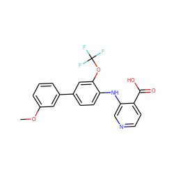 COc1cccc(-c2ccc(Nc3cnccc3C(=O)O)c(OC(F)(F)F)c2)c1 ZINC000103277346