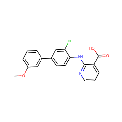 COc1cccc(-c2ccc(Nc3ncccc3C(=O)O)c(Cl)c2)c1 ZINC000103278706