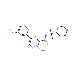 COc1cccc(-c2cnc(N)c(C(=O)NC(C)(C)C3CCNCC3)n2)c1 ZINC000084596626