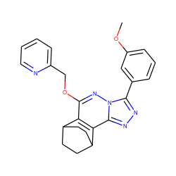 COc1cccc(-c2nnc3c4c(c(OCc5ccccn5)nn23)C2CCC4CC2)c1 ZINC000013610183