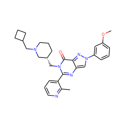 COc1cccc(-n2cc3nc(-c4cccnc4C)n(C[C@H]4CCCN(CC5CCC5)C4)c(=O)c3n2)c1 ZINC000169331004