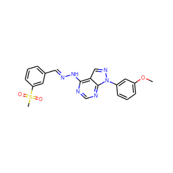 COc1cccc(-n2ncc3c(N/N=C/c4cccc(S(C)(=O)=O)c4)ncnc32)c1 ZINC000003938391